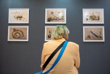 Attendee at the Cosmic Echoes art exhibition in Cape Town sitting in front of artwork created by young people from the Northern Cape, South Africa.